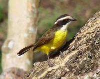 ���������l��ͼƬ