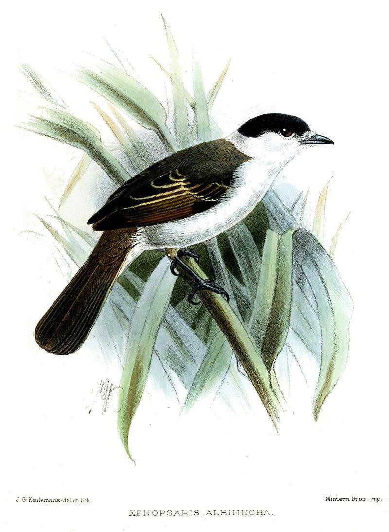 �������l��ͼƬ