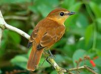 ��������l