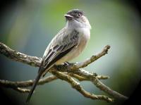 �ڶ�������l