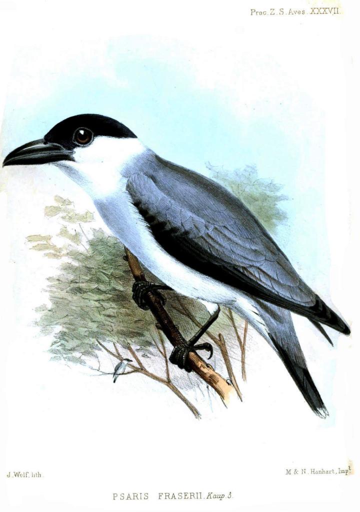 �ڶ���̩���l��ͼƬ