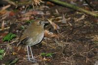 �ְ�����ͼƬ