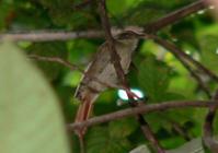 ��βʰҶȸ��ͼƬ