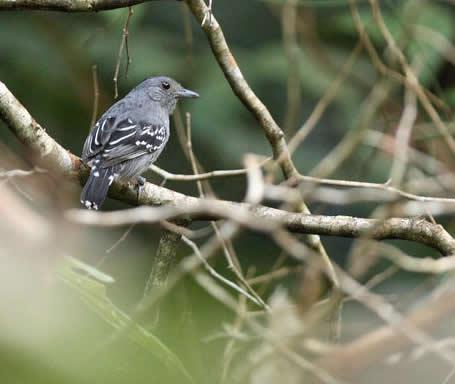 ����ѷ����ͼƬ