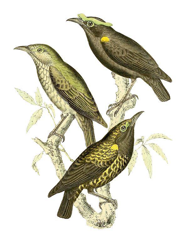 ���V�Ƶ�ͼƬ