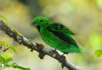 �ں����������ͼƬ