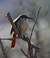 ������ȸ