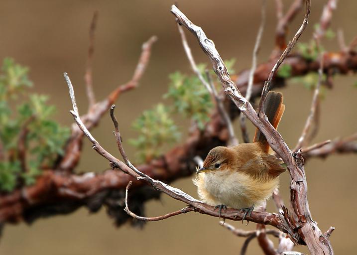 �ƶȸ��ͼƬ