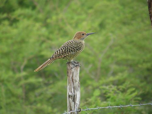 �Ű��˳�����ͼƬ