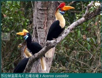 ���Ϭ����