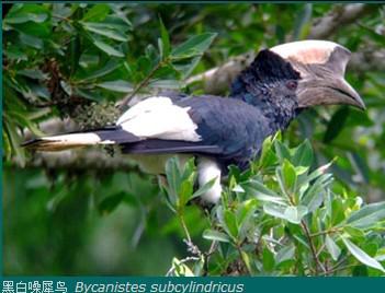 ��Ϭ����