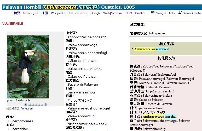 �����Ϭ��