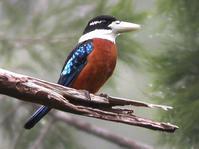 �ظ�Ц�����ͼƬ