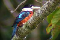 �ظ�Ц����