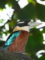 �ظ�Ц����