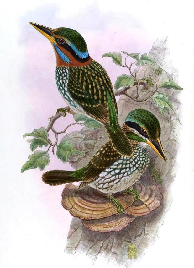 ��������ͼƬ