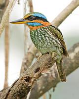 �������