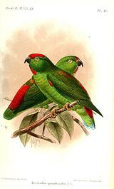 ������β����