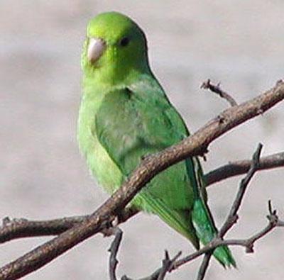 ̫ƽ���и��ͼƬ