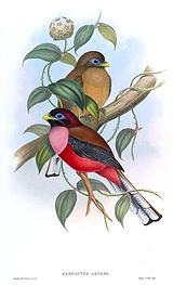 ����ҧ��