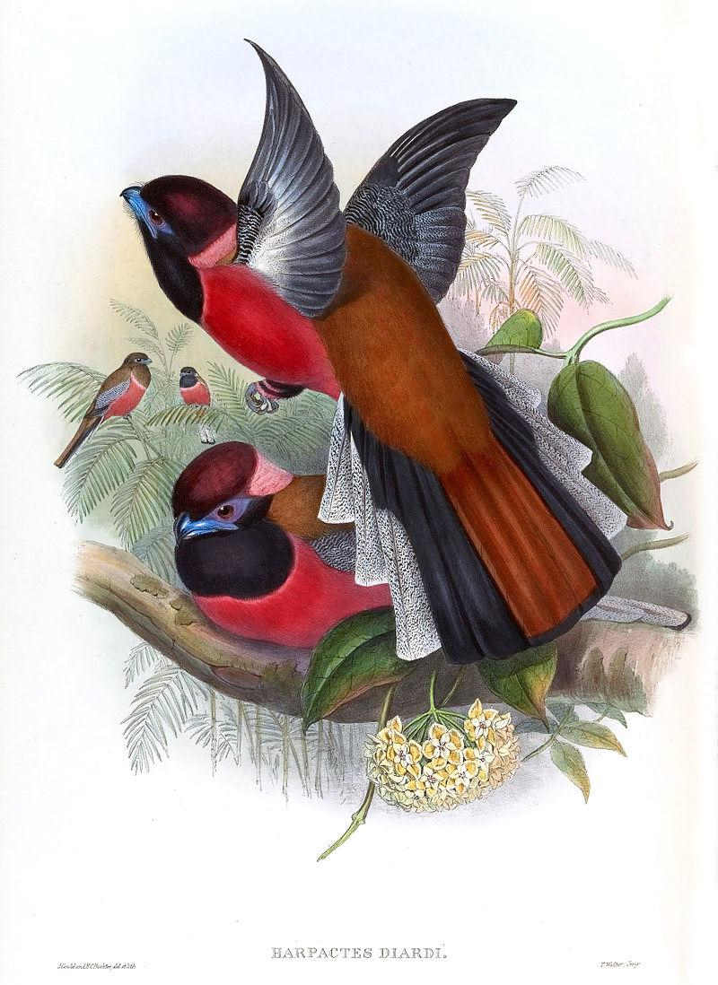 �϶�ҧ���ͼƬ