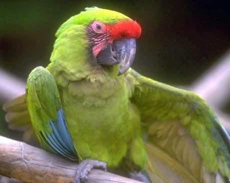 �¼��ﶫ�������