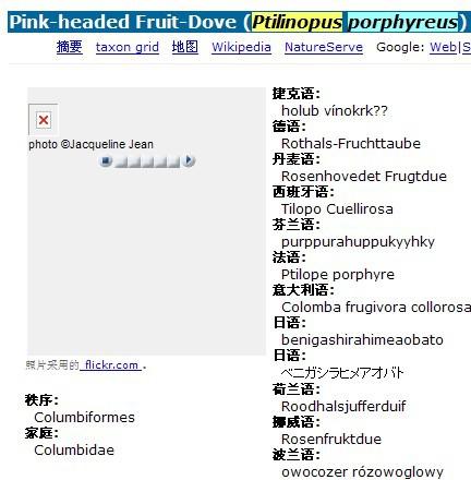 �ۺ쾱����ͼƬ