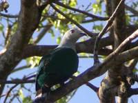 ���ϻ���ͼƬ