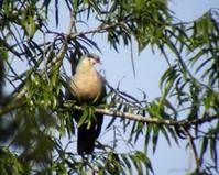 ������ɽ��ͼƬ