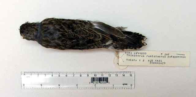 С���ֵ�ͼƬ