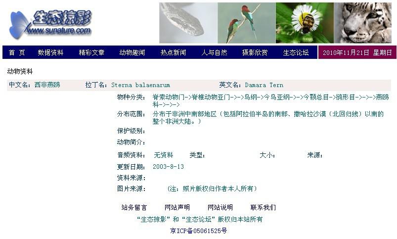 ������Ÿ��ͼƬ