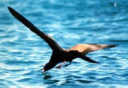 ����Ÿ��ͼƬ