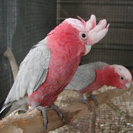 �ۺ��ͷ����