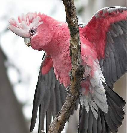 �ۺ��ͷ����