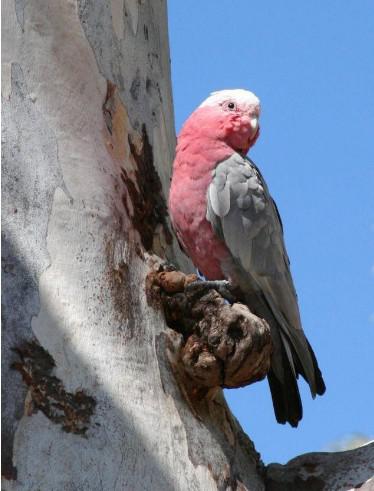 �ۺ��ͷ����