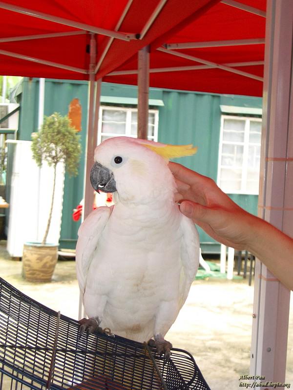 С��������