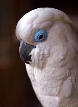 С��������