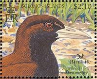 ����������ͼƬ