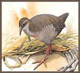 ���˵�����