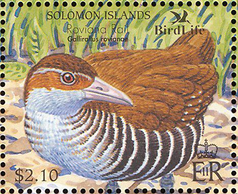 ������������ͼƬ