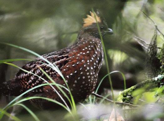 �ڶ�����