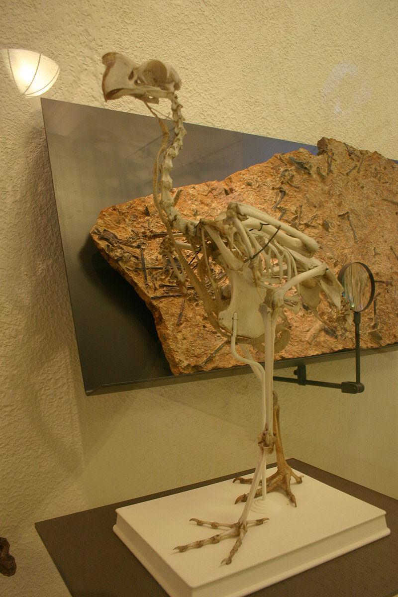 �������������ͼƬ