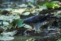 ���޾���