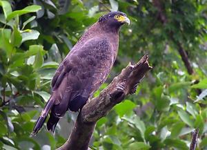 �������ߵ�