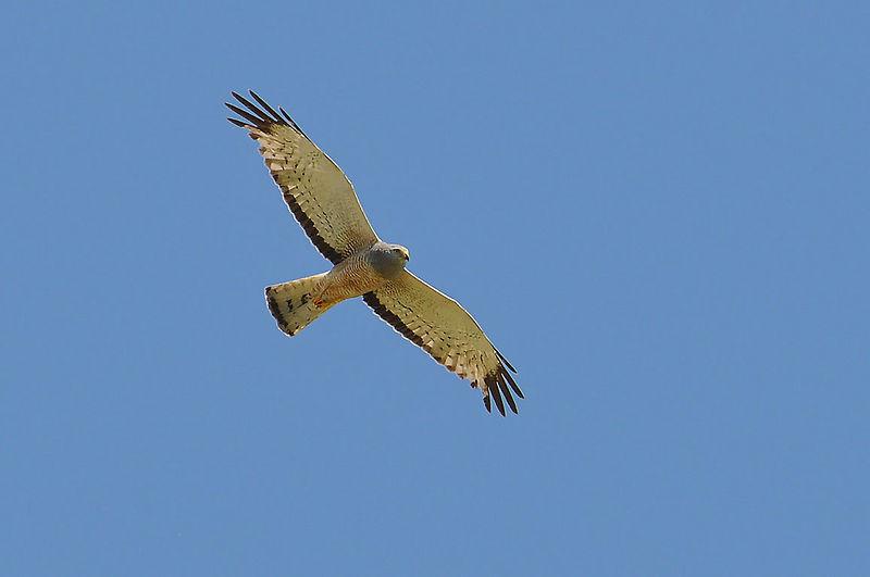 �߸��ε�ͼƬ