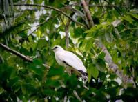 �������\