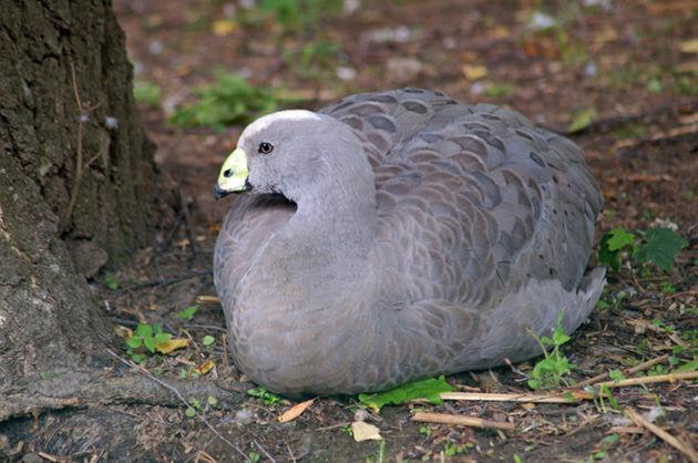 ���޻���