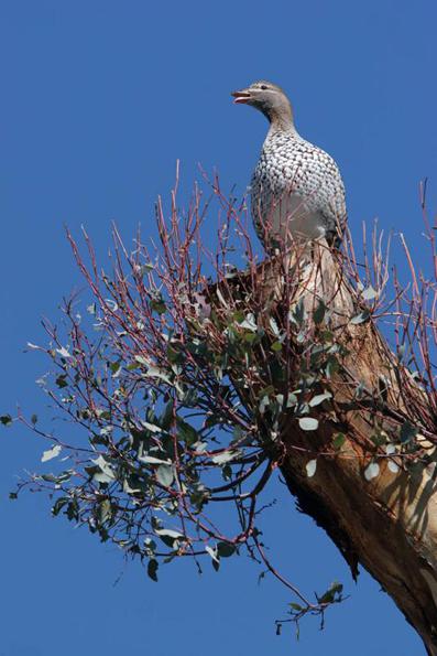 ����Ѽ��ͼƬ