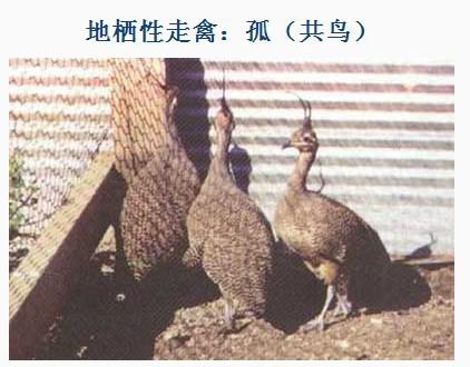 ��[����]