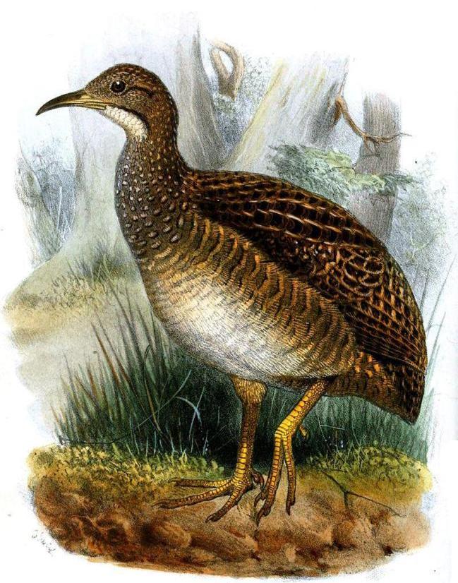 ��ɽ��[����]��ͼƬ